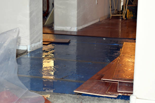 Professional Burst Pipe Cleanup technician working in Nuevo, CA
